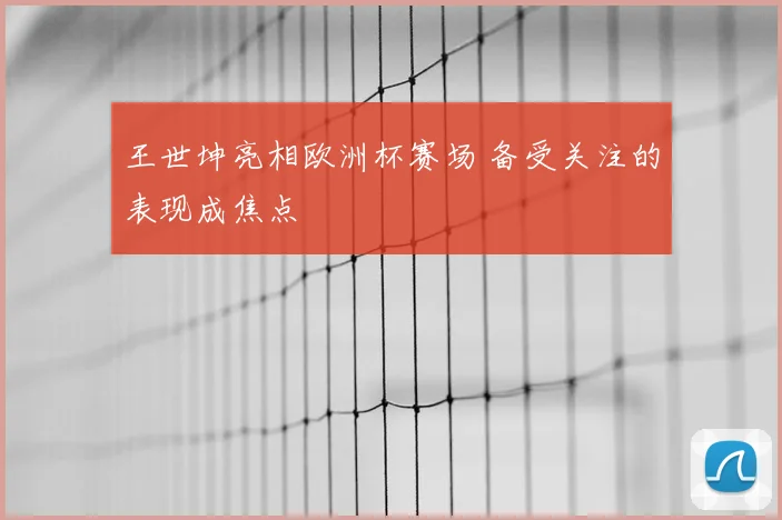 王世坤亮相欧洲杯赛场 备受关注的表现成焦点