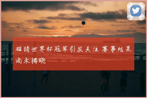 猫猜世界杯冠军引发关注 赛事结果尚未揭晓